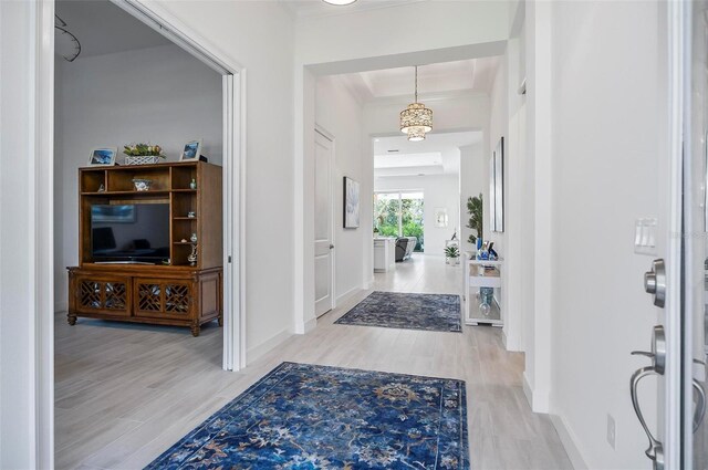 foyer entrance with a tray ceiling and hardwood / wood-style flooring