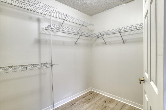 walk in closet with hardwood / wood-style flooring