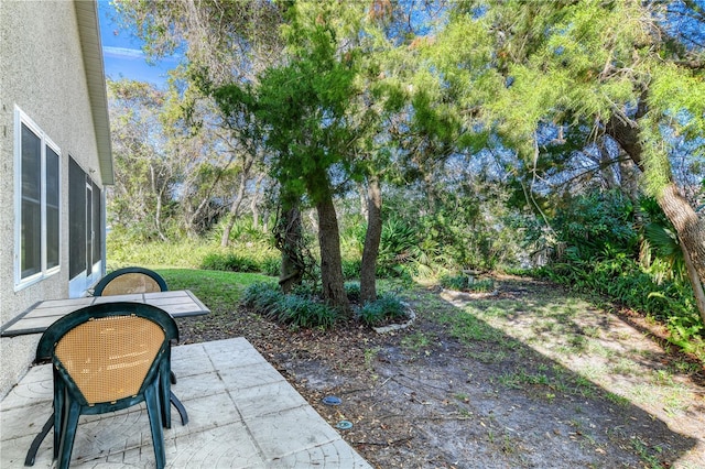 view of yard with a patio area