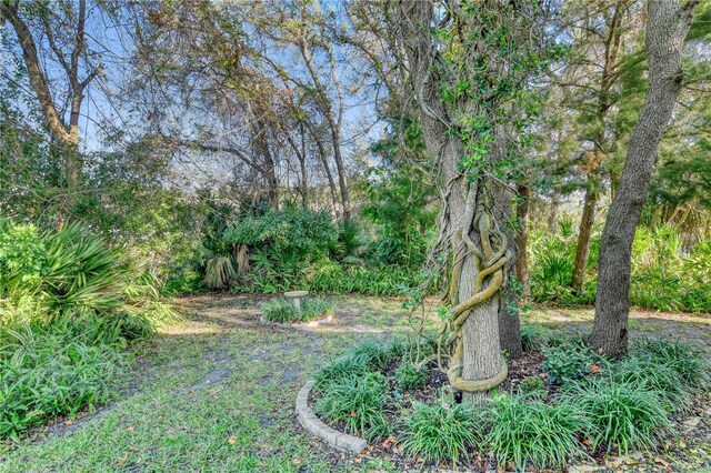541 Peninsula Ct, Saint Augustine, FL 32080 - photo 41