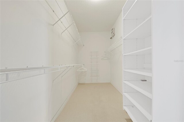 walk in closet with light colored carpet