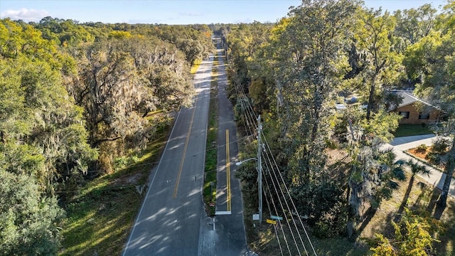 drone / aerial view