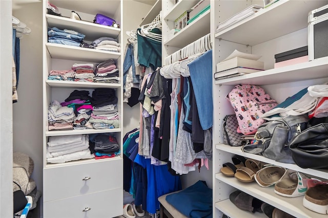 view of spacious closet