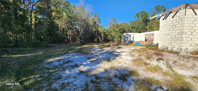 view of yard with a storage shed