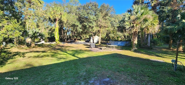 view of yard featuring a swimming pool