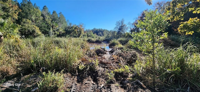 view of nature featuring a water view