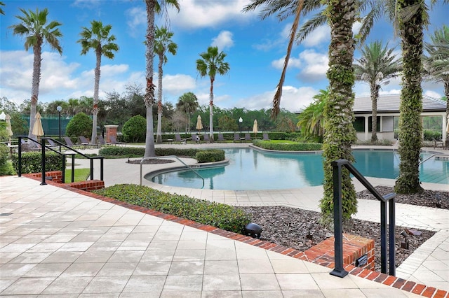 view of pool featuring a patio