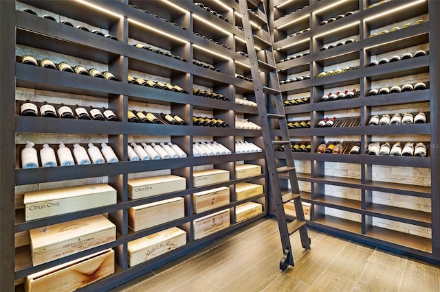 wine cellar with wood-type flooring