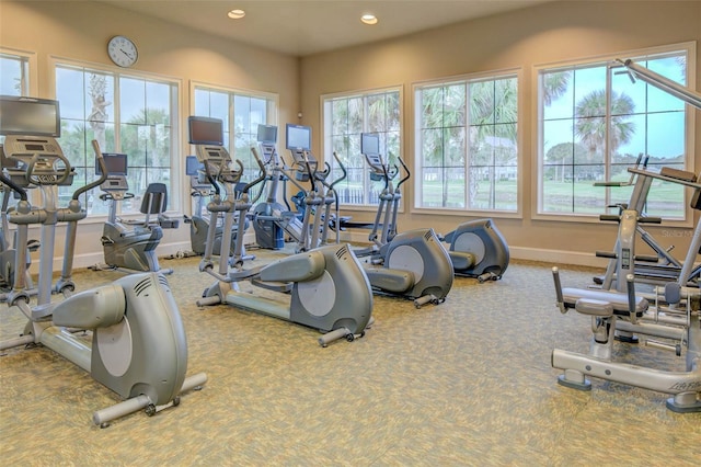 workout area featuring carpet floors