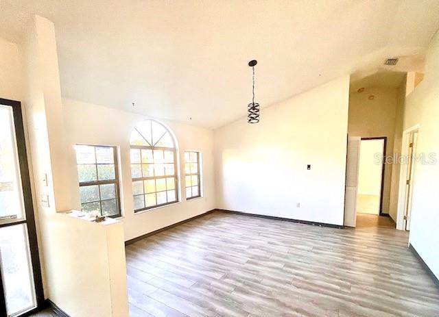 interior space with lofted ceiling and wood-type flooring