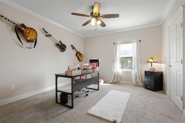 67 Island Estates Pkwy, Palm Coast, FL 32137 - carpeted office space featuring ornamental molding, a ceiling fan, a textured ceiling, and baseboards