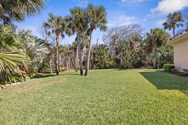 67 Island Estates Pkwy, Palm Coast, FL 32137 - view of grassy yard