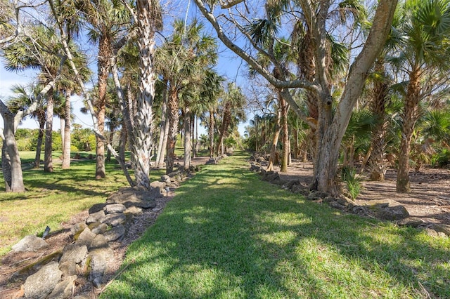 67 Island Estates Pkwy, Palm Coast, FL 32137 - view of green lawn