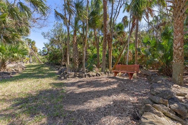 67 Island Estates Pkwy, Palm Coast, FL 32137 - view of yard