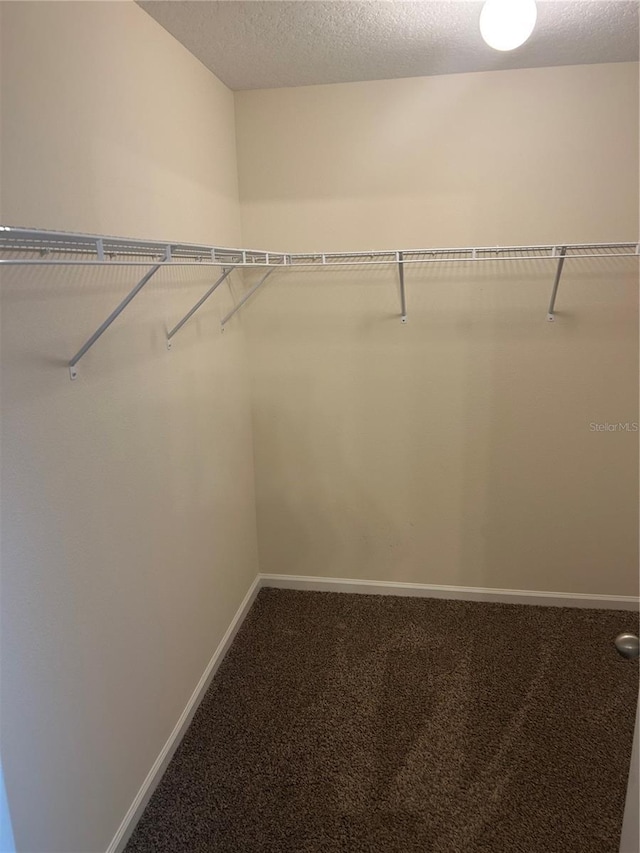 spacious closet with carpet floors