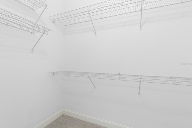 88 Longview Way N, Palm Coast, FL 32137 - view of spacious closet