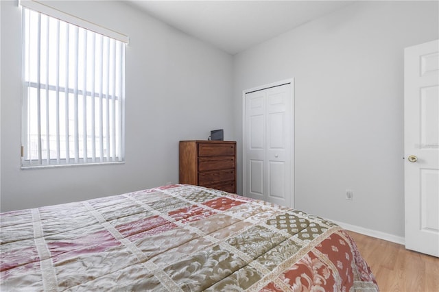 54 Fieldstone Ln, Palm Coast, FL 32137 - bedroom featuring multiple windows, wood finished floors, and a closet