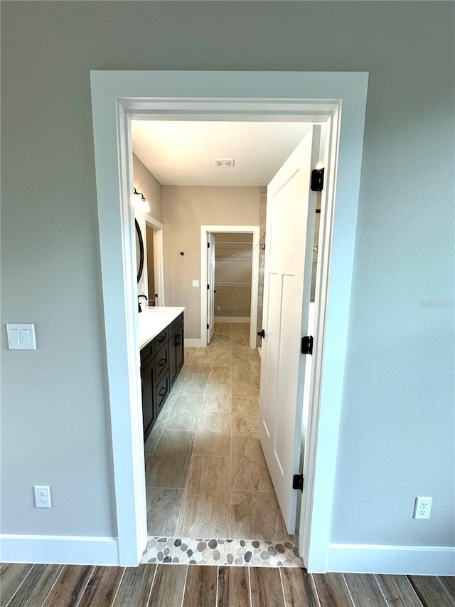 36 Armand Beach Dr, Palm Coast, FL 32137 - bathroom with vanity, a walk in closet, and wood finished floors
