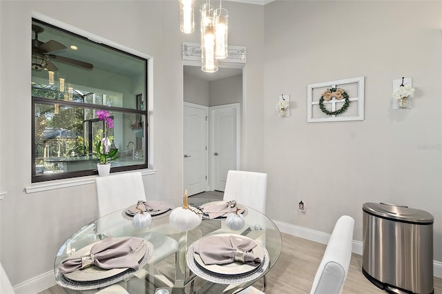 dining space with ceiling fan and light hardwood / wood-style flooring