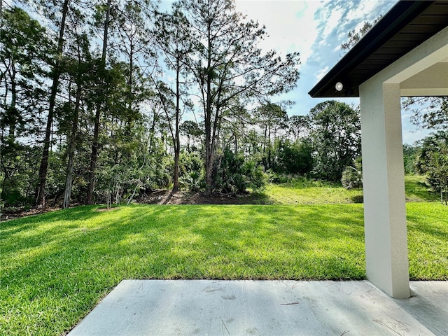 view of grassy yard with a patio