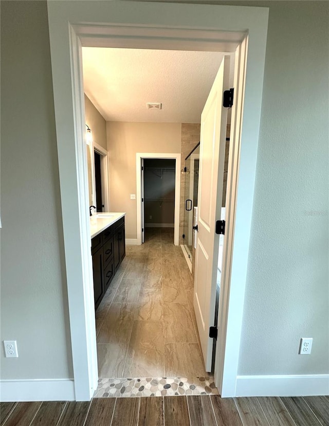 6 Lake Pl, Palm Coast, FL 32137 - bathroom featuring vanity, baseboards, a spacious closet, and wood finished floors