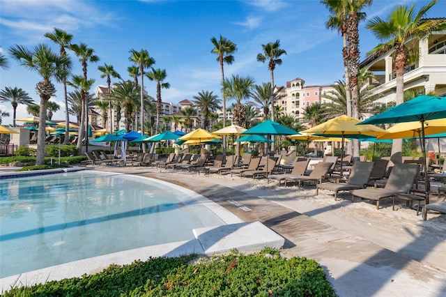 view of pool featuring a patio