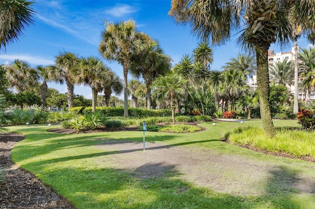 view of community featuring a lawn