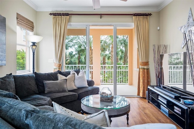 living room featuring ceiling fan, a healthy amount of sunlight, wood-type flooring, and crown molding