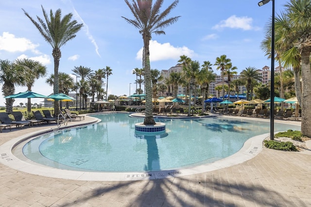 view of swimming pool with a patio