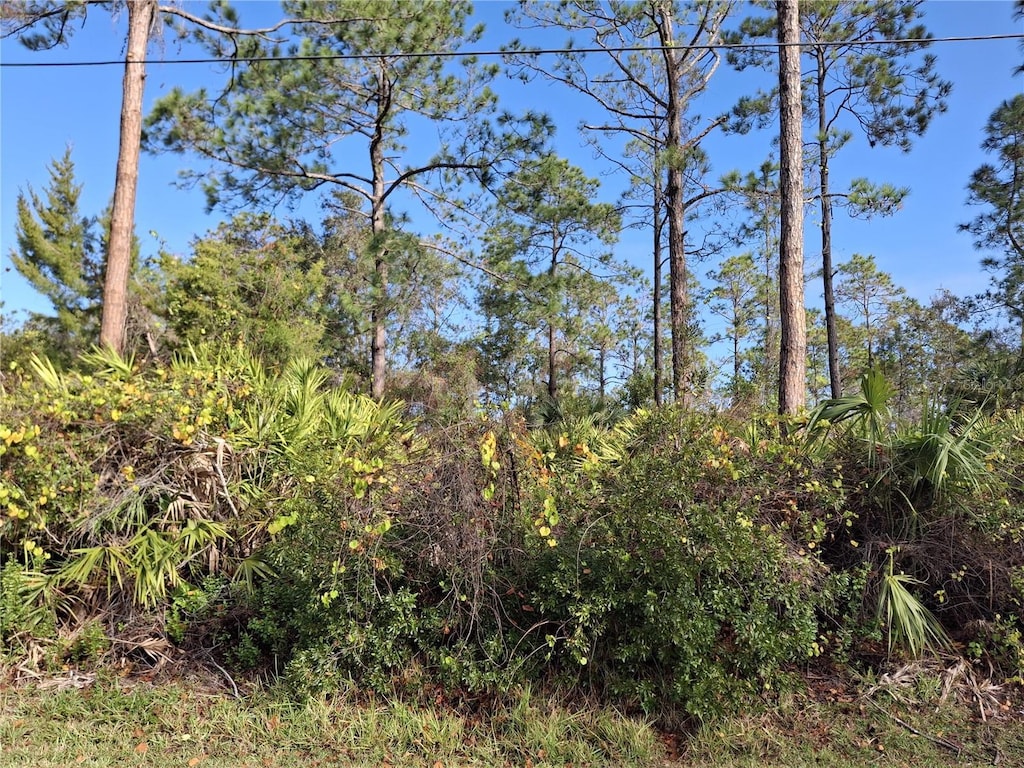 103 Wheatfield Dr, Palm Coast, FL 32164 - photo 1