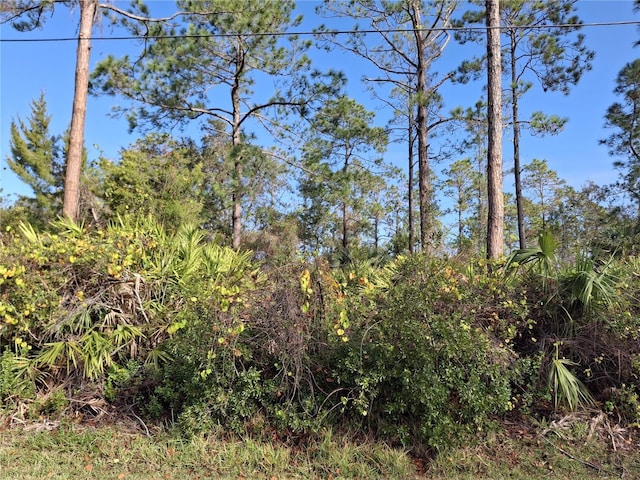 103 Wheatfield Dr, Palm Coast, FL 32164 - photo 1