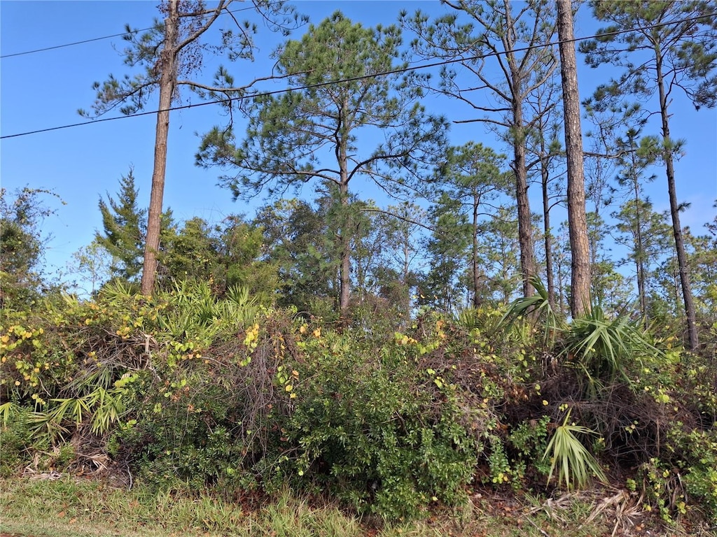 103 Wheatfield Dr, Palm Coast, FL 32164 - photo 2
