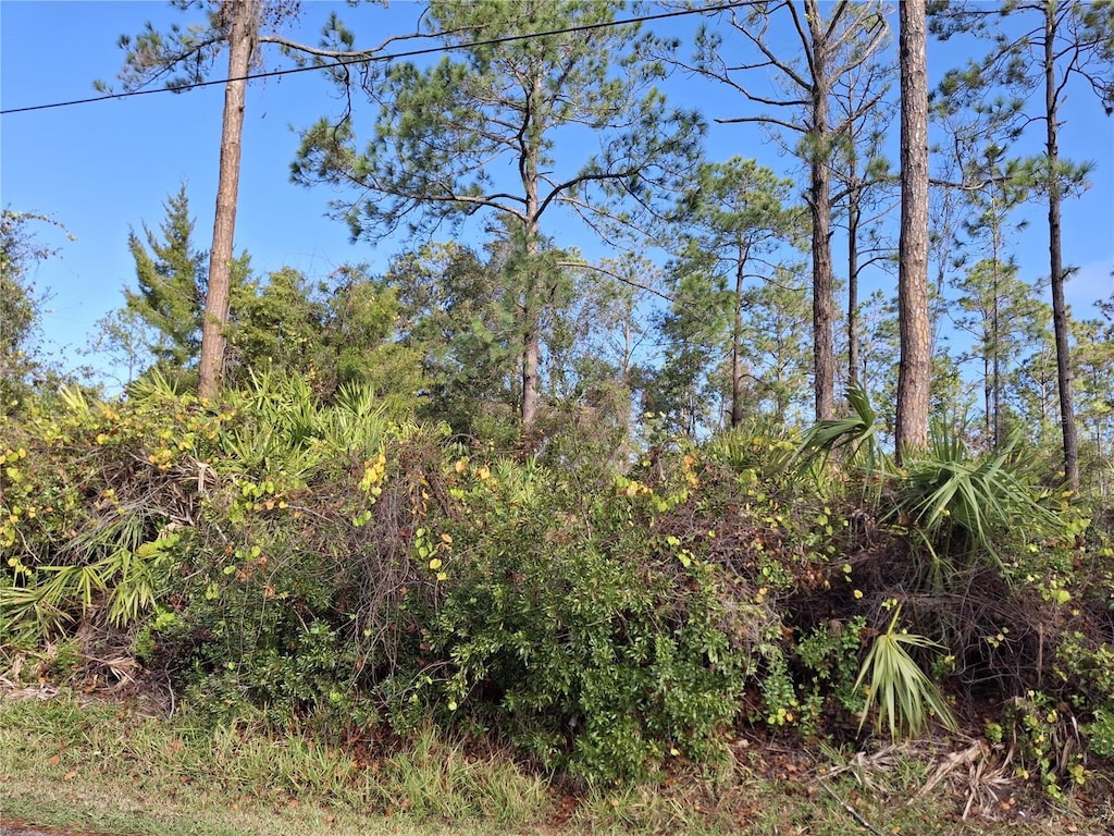 103 Wheatfield Dr, Palm Coast, FL 32164 - photo 3