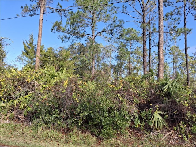 103 Wheatfield Dr, Palm Coast, FL 32164 - photo 3