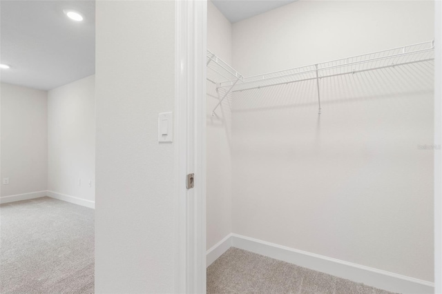 spacious closet with carpet floors