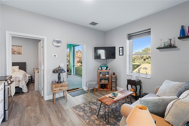 living room featuring light hardwood / wood-style flooring