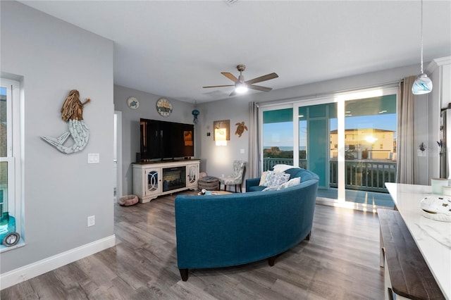 living room with hardwood / wood-style floors and ceiling fan