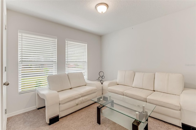 living room with light colored carpet