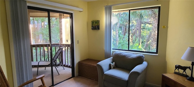 living area featuring carpet flooring