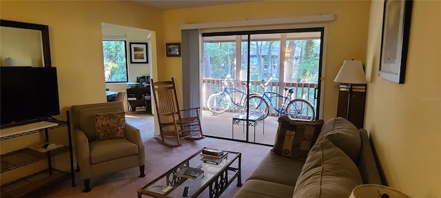 view of carpeted living room