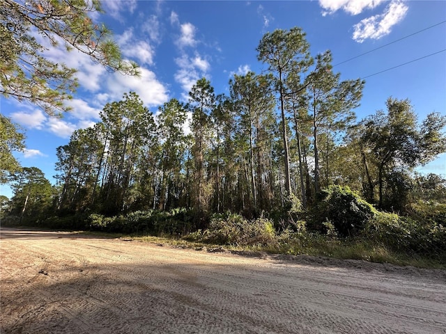 111 Camp Rd, Palatka FL, 32177 land for sale