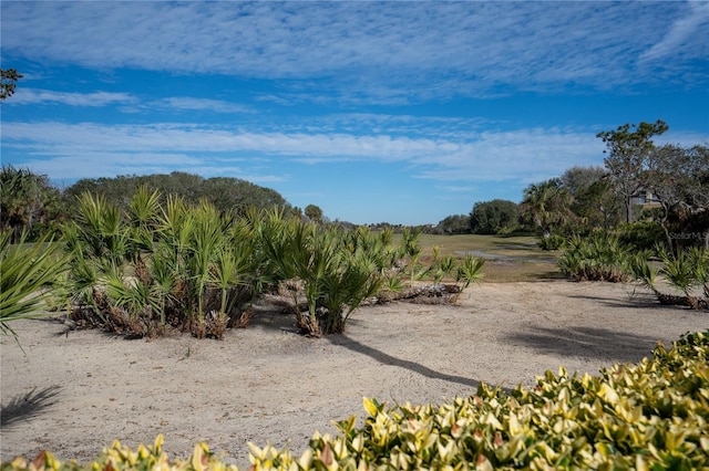 view of nature