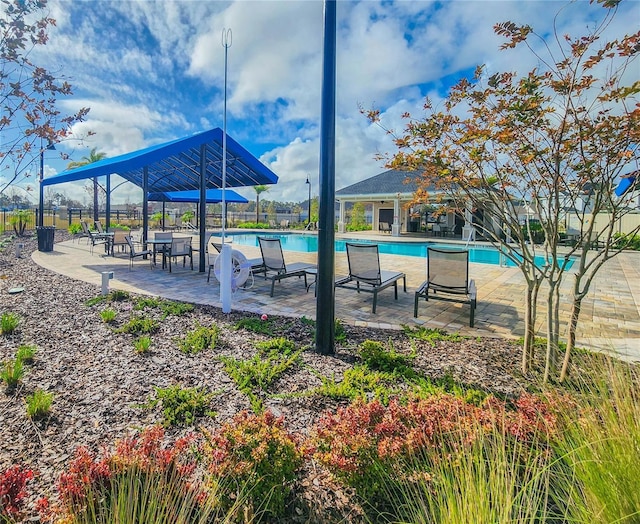 view of swimming pool with a patio area