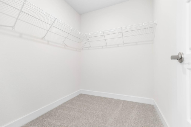 walk in closet with carpet