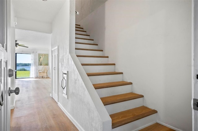 stairs with ceiling fan and hardwood / wood-style floors