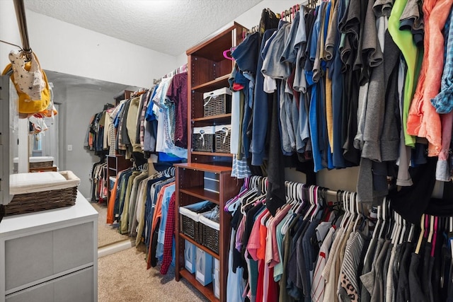 walk in closet featuring light carpet