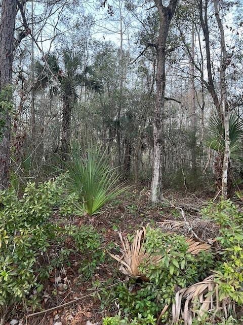 3754 Cranberry Ave, Bunnell FL, 32110 land for sale