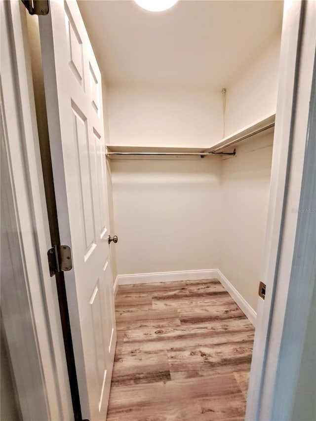 walk in closet featuring light hardwood / wood-style flooring