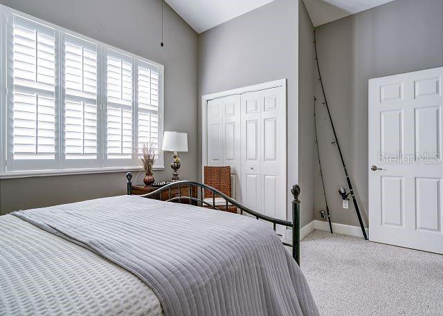 carpeted bedroom with vaulted ceiling, multiple windows, and a closet