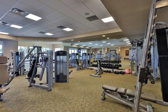 exercise room with carpet floors and a drop ceiling